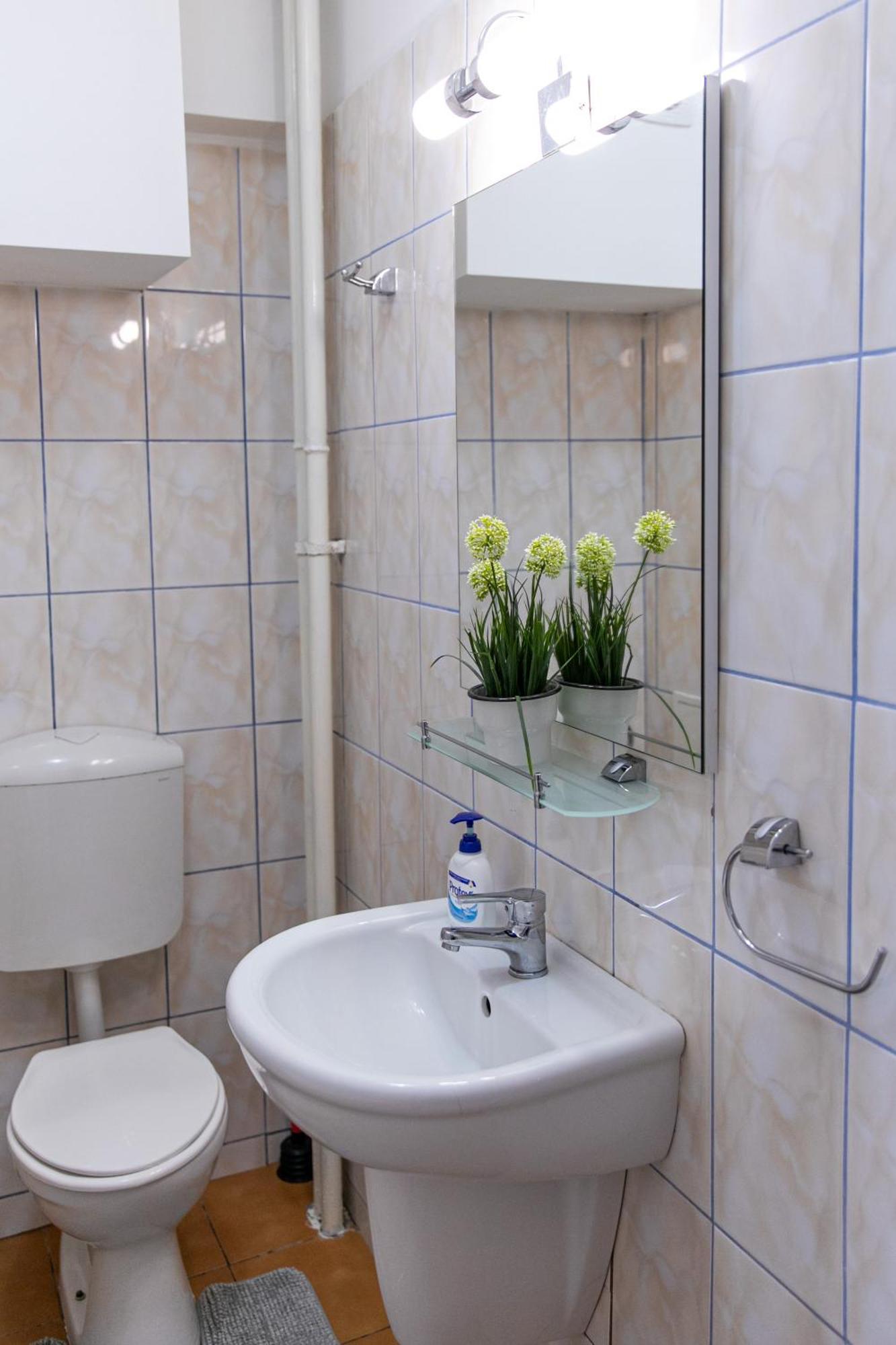בוקרשט Color Apartment Regina Elisabeta 23 מראה חיצוני תמונה